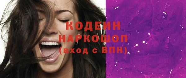 МДПВ Нефтегорск