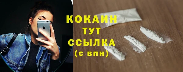 МДПВ Нефтегорск