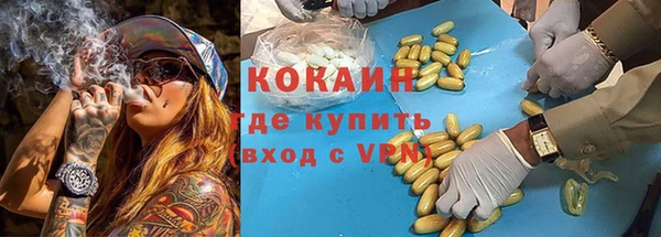 МДПВ Нефтегорск
