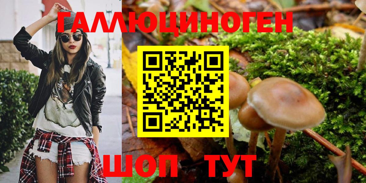 Псилоцибиновые грибы прущие грибы  как найти закладки  Балашиха 