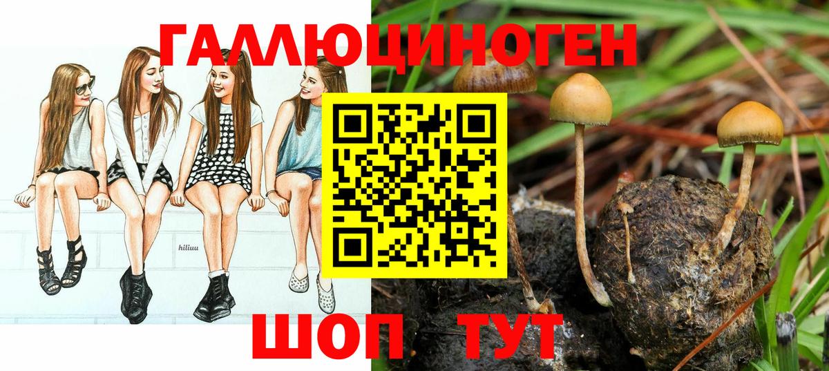 Галлюциногенные грибы ЛСД Балашиха