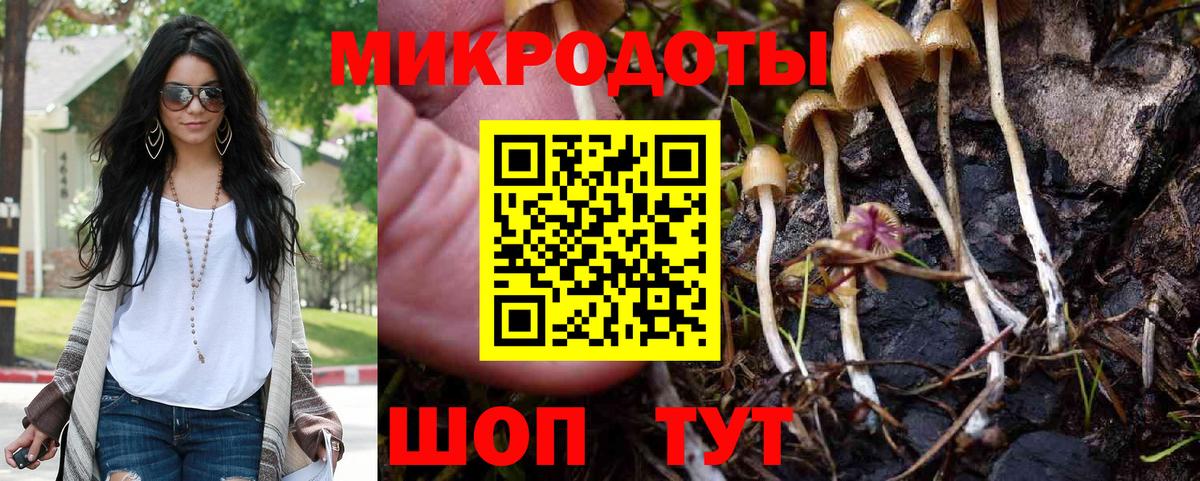 Балашиха  Галлюциногенные грибы Psilocybe  Вход с VPN 